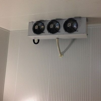 New Cold Room Projects